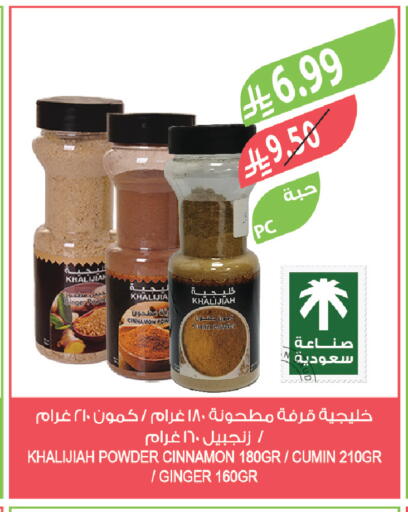 Ginger Cinnamon Cumin available at Farm  in KSA, Saudi Arabia, Saudi - Tabuk