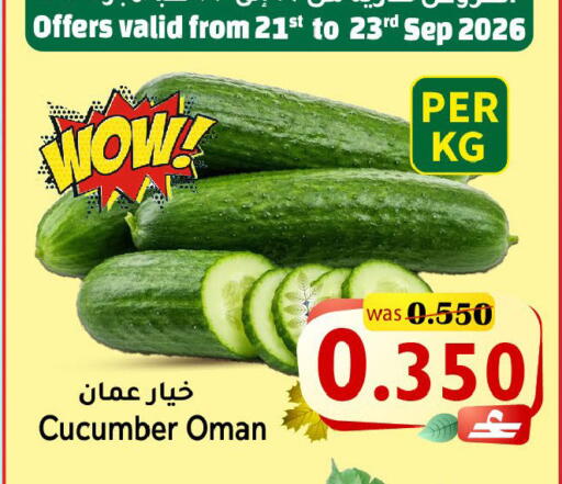 Cucumber from Oman available at مركز المزن للتسوق in عُمان - مسقط‎
