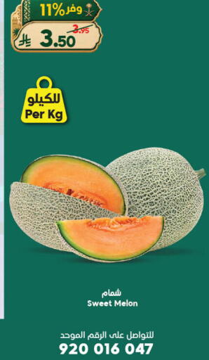 Melon available at الدكان in مملكة العربية السعودية, السعودية, سعودية - جدة