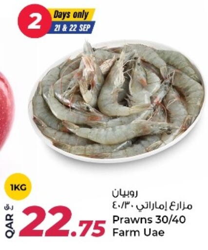 available at Rawabi Hypermarket in Qatar - Al Rayyan