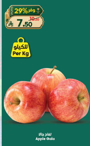 Apple available at الدكان in مملكة العربية السعودية, السعودية, سعودية - جدة