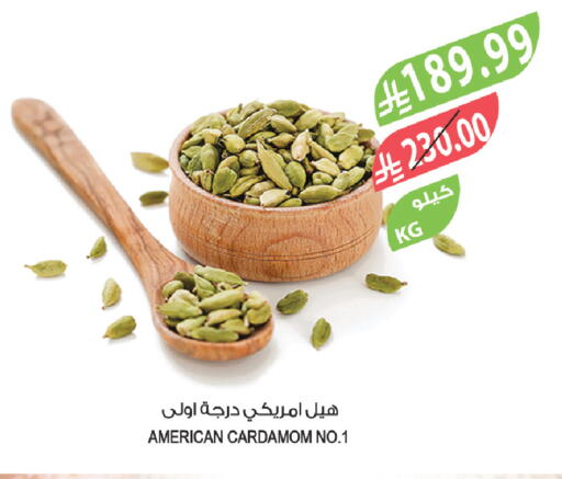 Cardamom available at Farm  in KSA, Saudi Arabia, Saudi - Al-Kharj