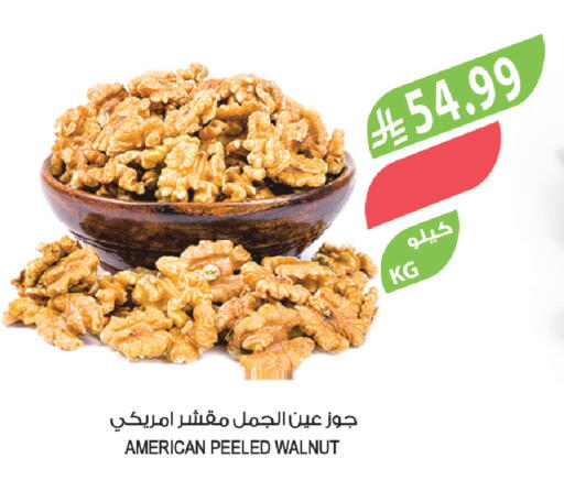 available at المزرعة in مملكة العربية السعودية, السعودية, سعودية - تبوك