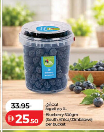 Blueberry BlueBerry from South Africa Zimbabwe available at لولو هايبرماركت in الإمارات العربية المتحدة , الامارات - أم القيوين‎