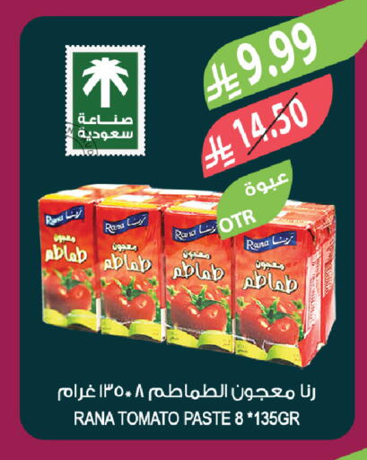 Tomato available at Farm  in KSA, Saudi Arabia, Saudi - Tabuk
