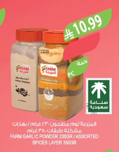 Garlic available at Farm  in KSA, Saudi Arabia, Saudi - Al-Kharj
