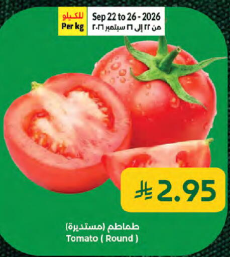 Tomato available at كبايان هايبرماركت in مملكة العربية السعودية, السعودية, سعودية - جدة