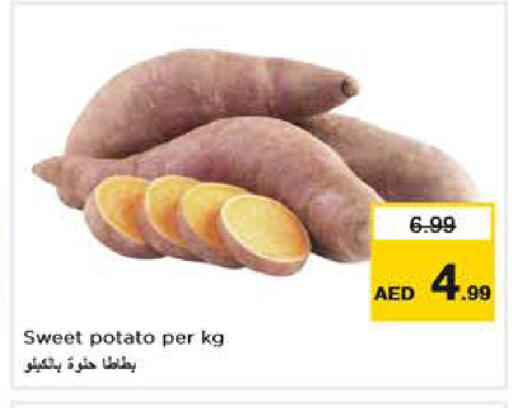 Sweet Potato available at نستو هايبرماركت in الإمارات العربية المتحدة , الامارات - أبو ظبي