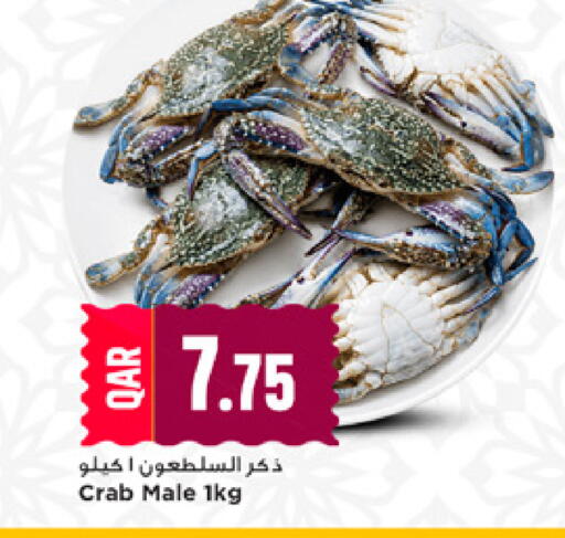 available at مرزا هايبرماركت in قطر - الشحانية