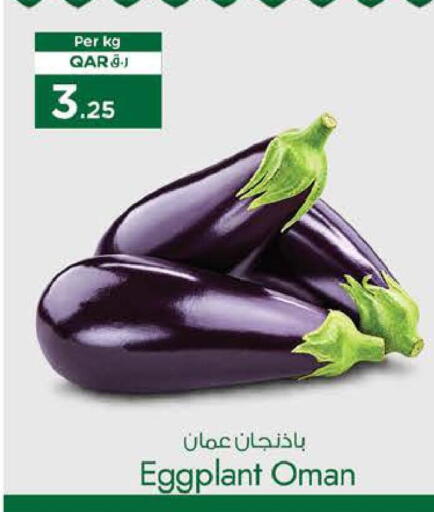 Eggplant from Oman available at Nesto in Qatar - Al Shamal