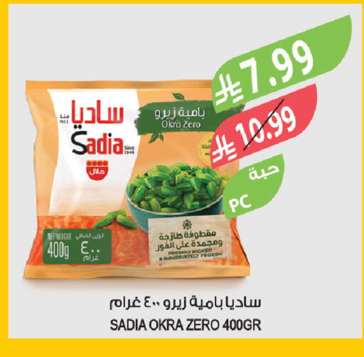 Okra available at Farm  in KSA, Saudi Arabia, Saudi - Tabuk