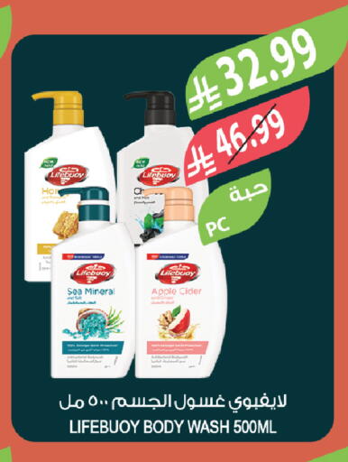 Apple available at Farm  in KSA, Saudi Arabia, Saudi - Tabuk