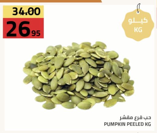 Pumpkin available at أسواق أسترا in مملكة العربية السعودية, السعودية, سعودية - تبوك
