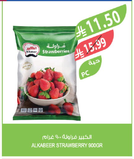 Strawberry available at Farm  in KSA, Saudi Arabia, Saudi - Tabuk