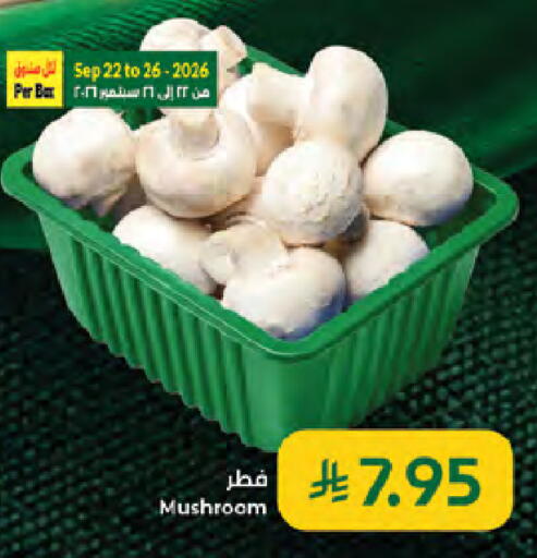 Mushroom available at Kabayan Hypermarket in KSA, Saudi Arabia, Saudi - Jeddah