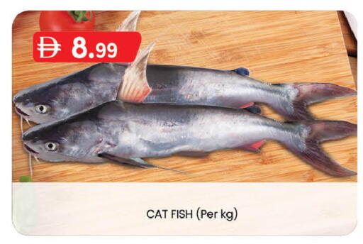 available at K M Trading  in UAE - Sharjah / Ajman