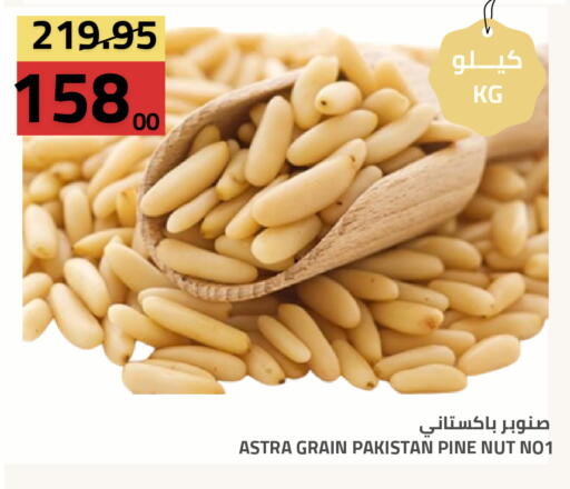 available at Astra Markets in KSA, Saudi Arabia, Saudi - Tabuk