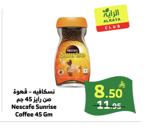 Chicory available at الراية in مملكة العربية السعودية, السعودية, سعودية - خميس مشيط