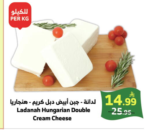 available at الراية in مملكة العربية السعودية, السعودية, سعودية - خميس مشيط