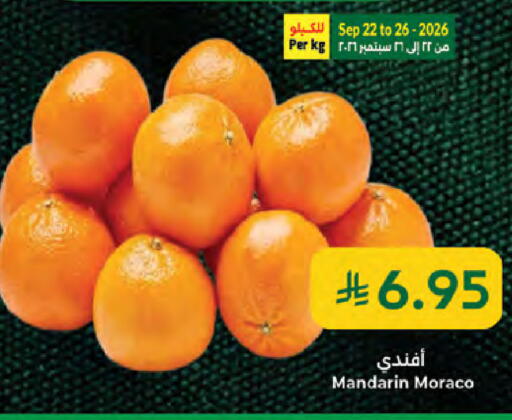 Mandarin available at Kabayan Hypermarket in KSA, Saudi Arabia, Saudi - Jeddah
