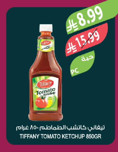 Tomato available at Farm  in KSA, Saudi Arabia, Saudi - Al-Kharj