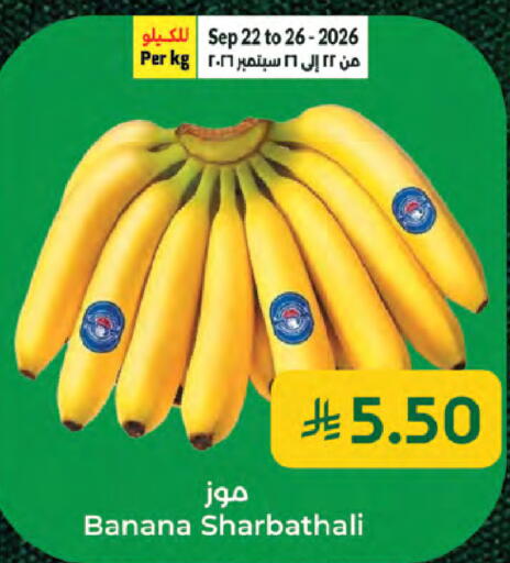 Banana available at كبايان هايبرماركت in مملكة العربية السعودية, السعودية, سعودية - جدة