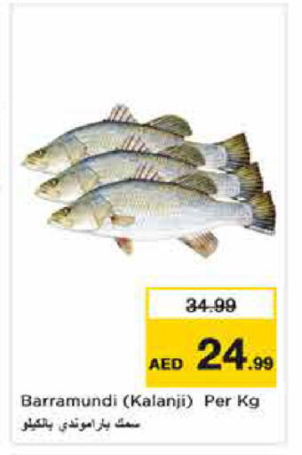 available at نستو هايبرماركت in الإمارات العربية المتحدة , الامارات - الشارقة / عجمان