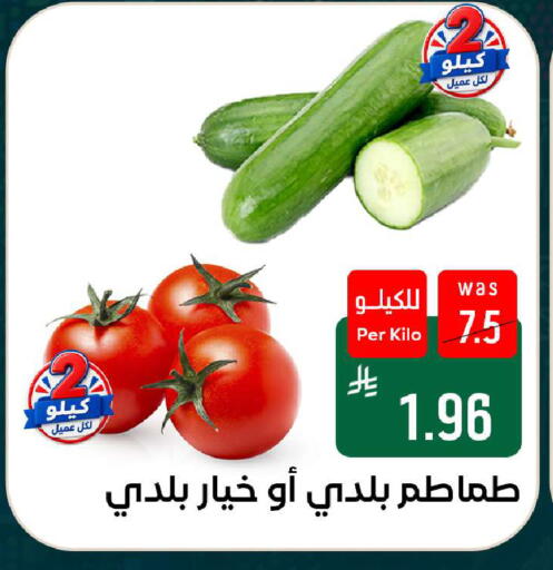available at شبرا الطائف in مملكة العربية السعودية, السعودية, سعودية - الطائف