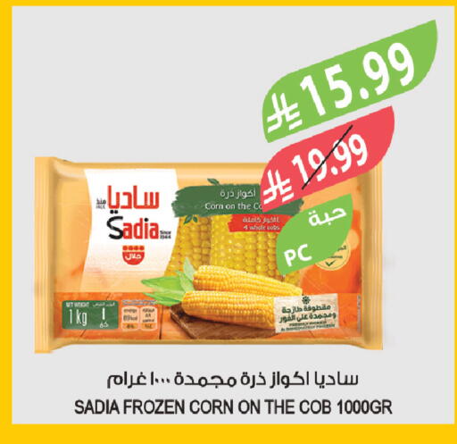 available at Farm  in KSA, Saudi Arabia, Saudi - Tabuk