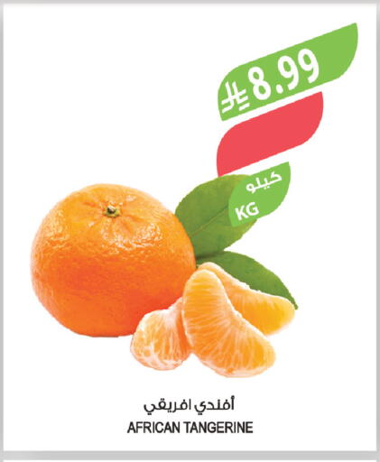 available at المزرعة in مملكة العربية السعودية, السعودية, سعودية - تبوك