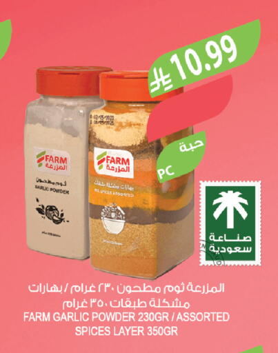 Garlic available at Farm  in KSA, Saudi Arabia, Saudi - Tabuk