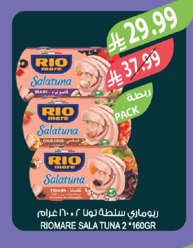 Pepper available at Farm  in KSA, Saudi Arabia, Saudi - Riyadh
