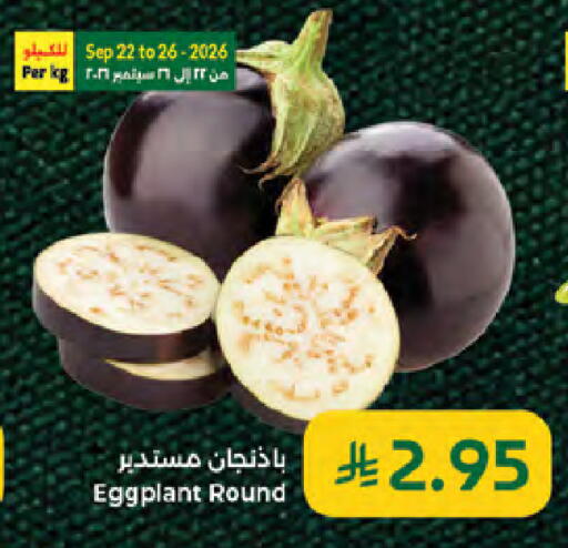 Eggplant available at Kabayan Hypermarket in KSA, Saudi Arabia, Saudi - Jeddah