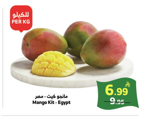 Mango from Egypt available at الراية in مملكة العربية السعودية, السعودية, سعودية - خميس مشيط