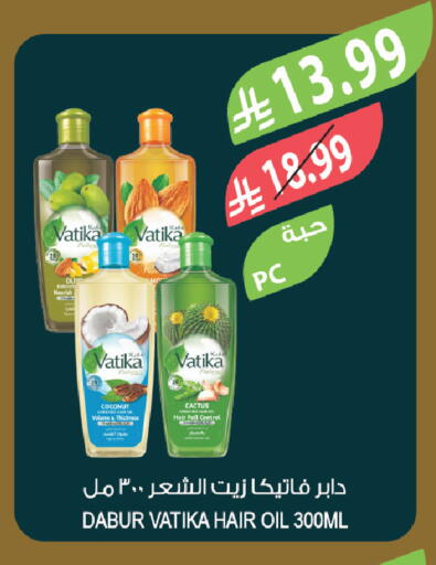 Coconut available at Farm  in KSA, Saudi Arabia, Saudi - Al-Kharj