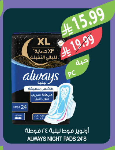 available at Farm  in KSA, Saudi Arabia, Saudi - Al-Kharj