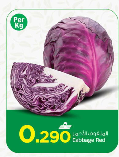 Cabbage available at MARK & SAVE in Oman - Muscat