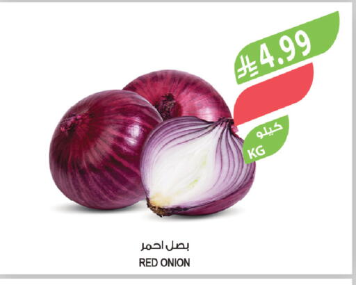 Onion available at Farm  in KSA, Saudi Arabia, Saudi - Al Khobar