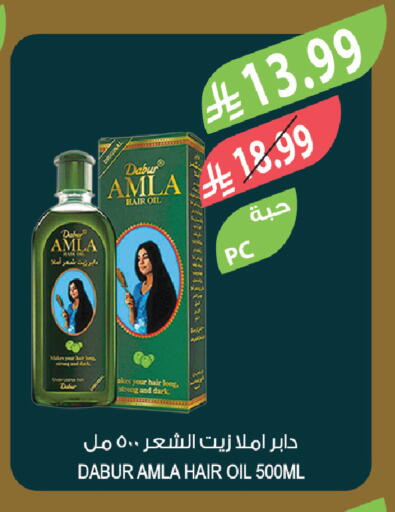 available at Farm  in KSA, Saudi Arabia, Saudi - Al-Kharj