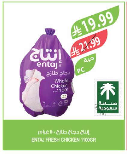 available at المزرعة in مملكة العربية السعودية, السعودية, سعودية - تبوك