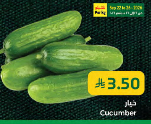 Cucumber available at Kabayan Hypermarket in KSA, Saudi Arabia, Saudi - Jeddah