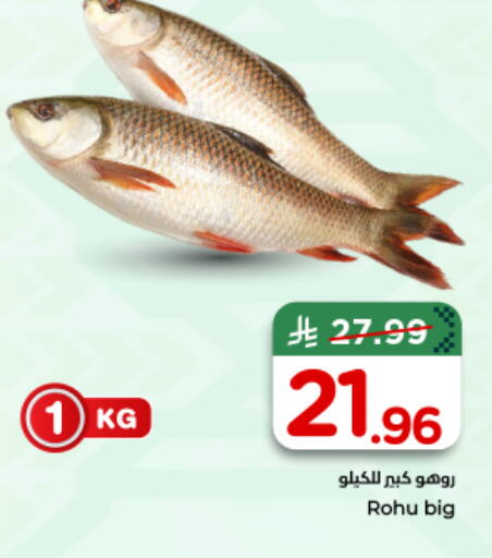 available at نستو in مملكة العربية السعودية, السعودية, سعودية - الخرج