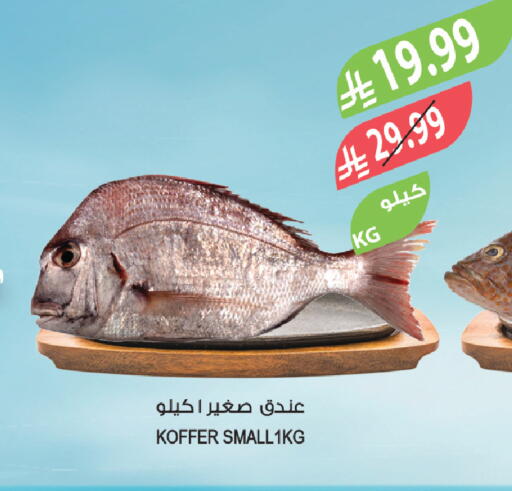 available at Farm  in KSA, Saudi Arabia, Saudi - Al-Kharj
