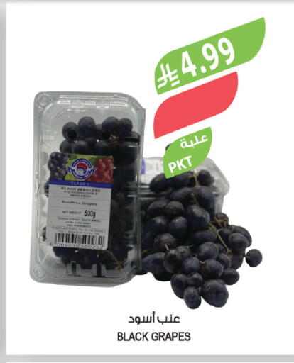 Grapes available at المزرعة in مملكة العربية السعودية, السعودية, سعودية - تبوك