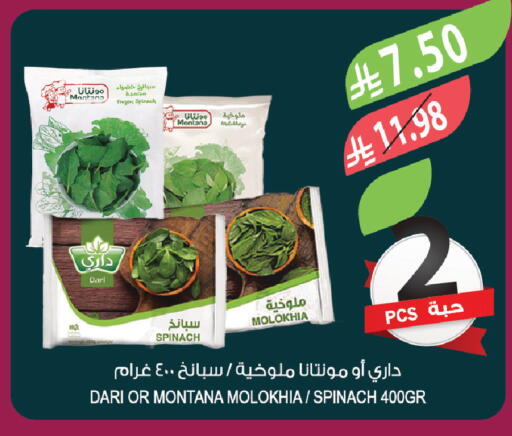 Spinach available at Farm  in KSA, Saudi Arabia, Saudi - Tabuk
