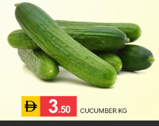 Cucumber available at TALAL MARKET in UAE - Sharjah / Ajman