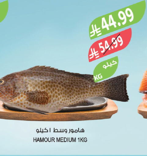 available at المزرعة in مملكة العربية السعودية, السعودية, سعودية - الخرج