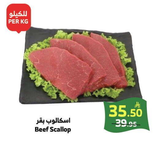 available at الراية in مملكة العربية السعودية, السعودية, سعودية - خميس مشيط