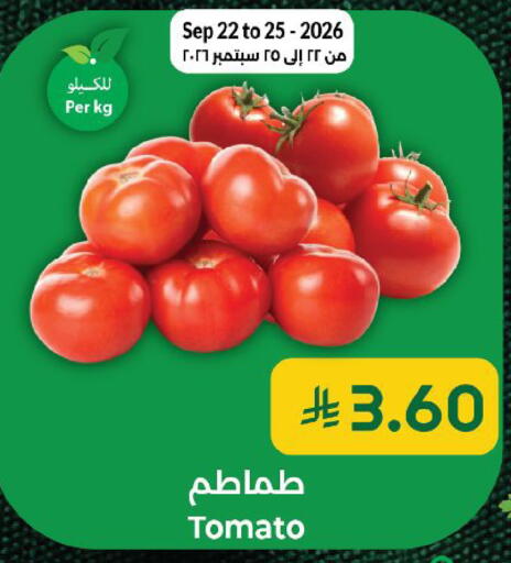 Tomato available at كبايان هايبرماركت in مملكة العربية السعودية, السعودية, سعودية - ينبع