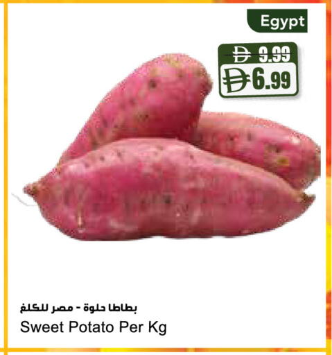 Sweet Potato from Egypt available at المايا سوبرماركت in الإمارات العربية المتحدة , الامارات - الشارقة / عجمان